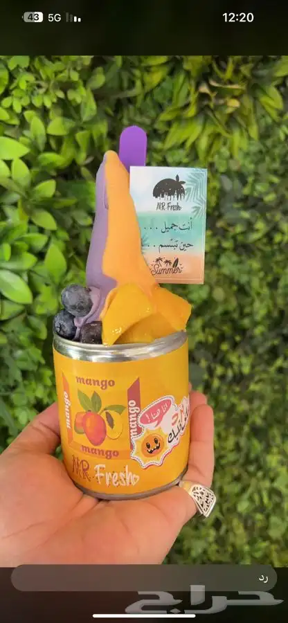 نكهات ايسكريم مركزه 6