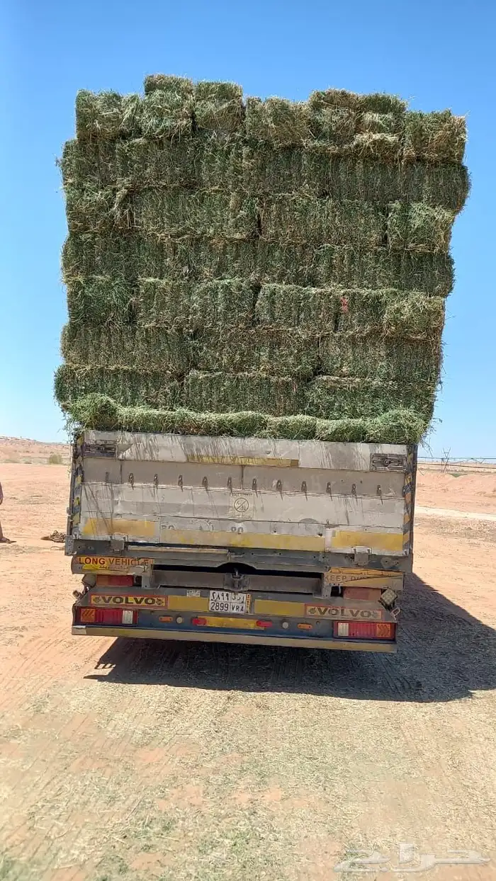 برسيم صافي شد قوي سلك مضغوط متر فآخر ورق 7