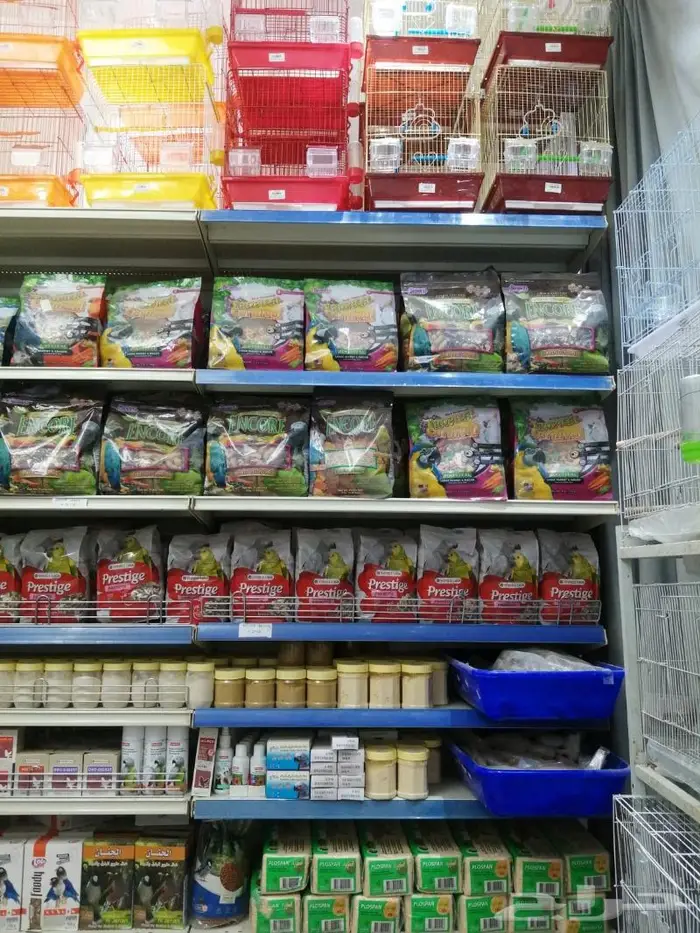 جديد طيور زينة ومستلزماتها نوادر 64