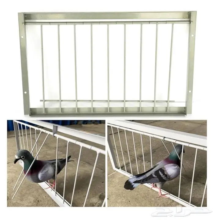 قفص شبك فخ صيد الحمام الطيور 0