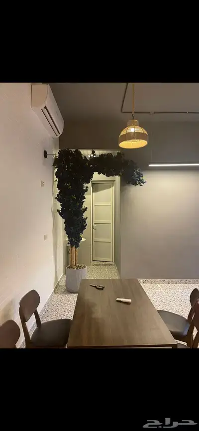شجرة ورد زينه. كبيره للبيع 0