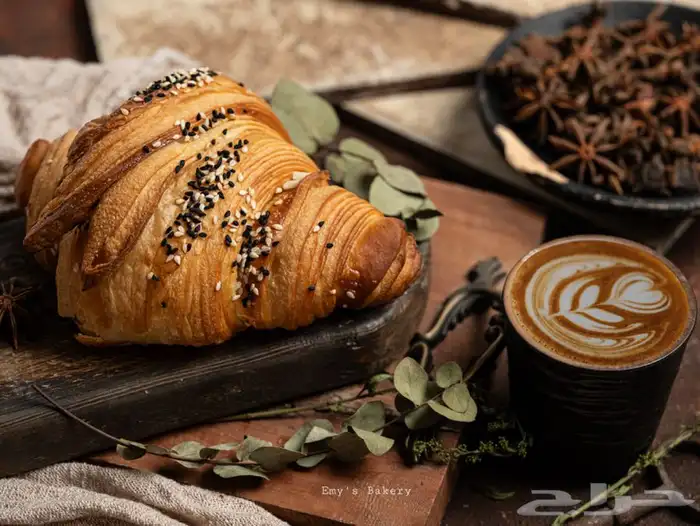 سعودية مصورة محترفة 0