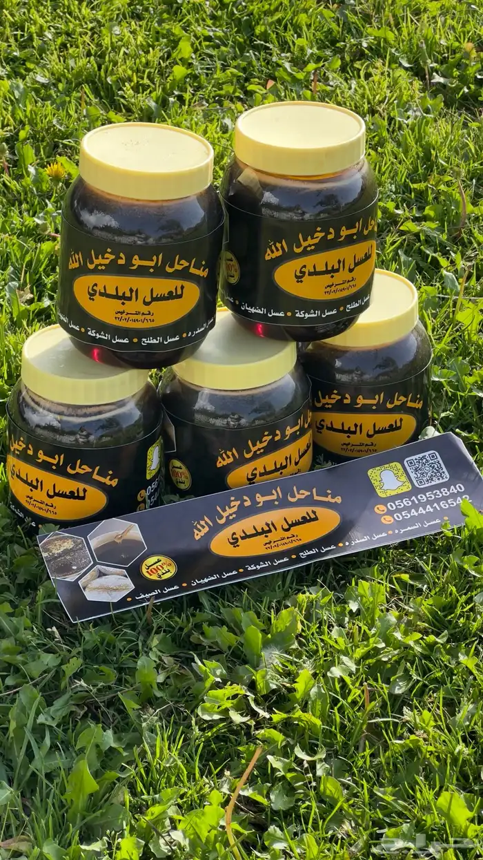 عسل الطلح اصلي حر 0