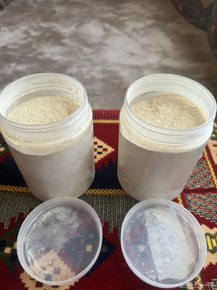 بودرة لقاح النخيل ( صافي ) انتاج شخصي القصيم 2