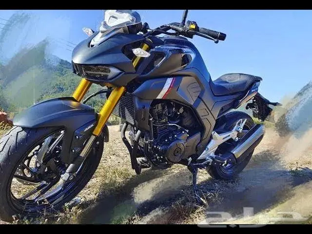 دراجة نارية هاوجي Xcr 300 11