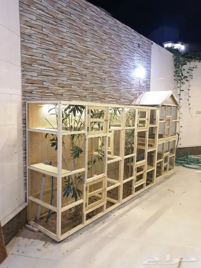 حضيرة عصافير 25