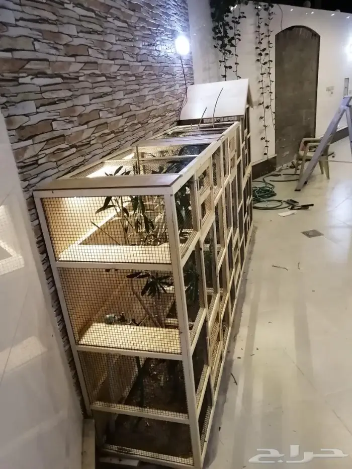 حضيرة عصافير 26