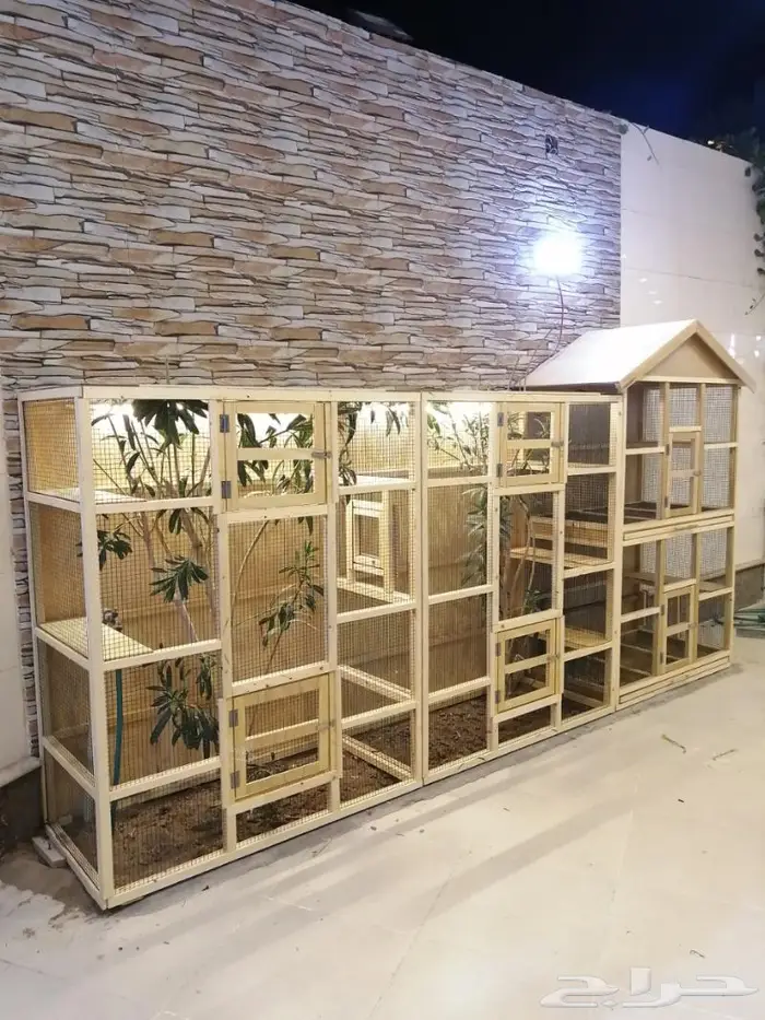 حضيرة عصافير 27