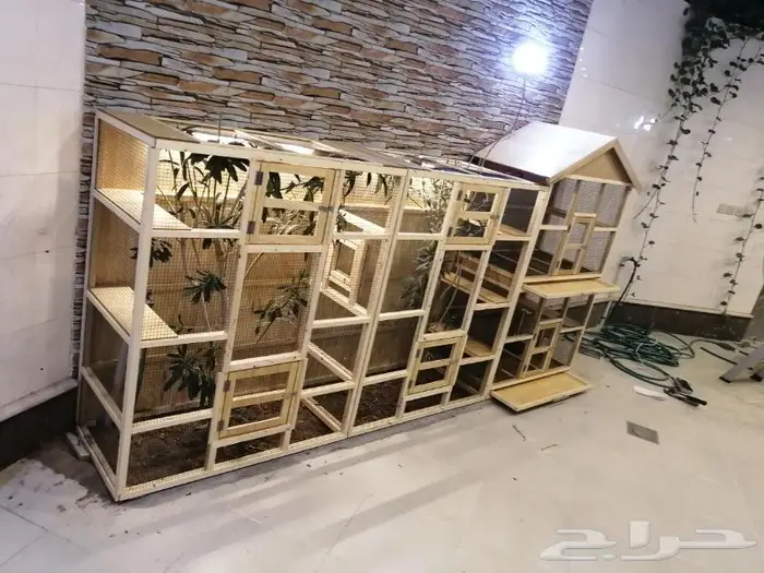 حضيرة عصافير 19