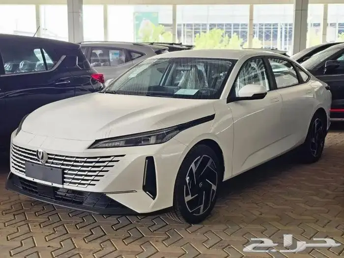 ايدو 2025 13