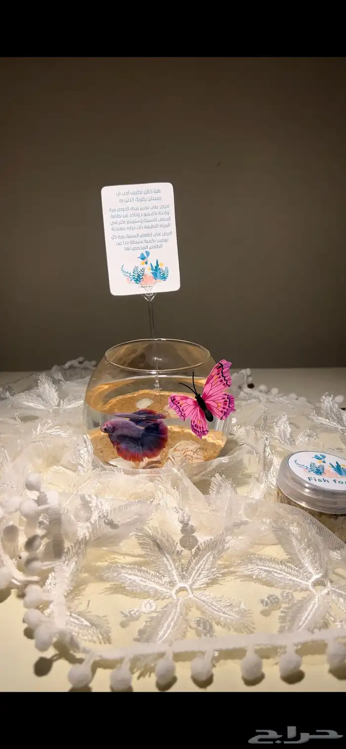 هدايا نجاح وتخرج مميزه 0