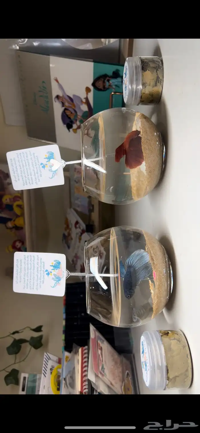 هدايا نجاح وتخرج مميزه 3