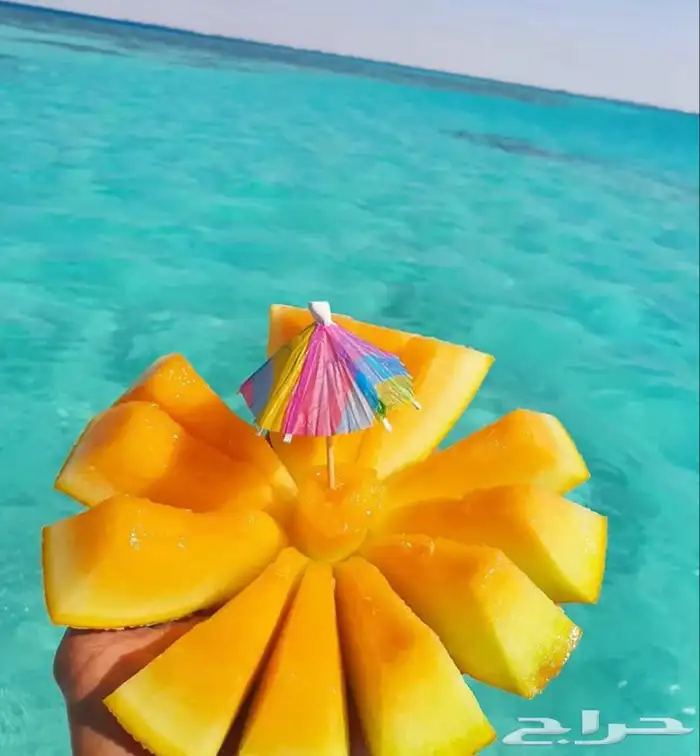 فاعليات ورحلات بحريه 17