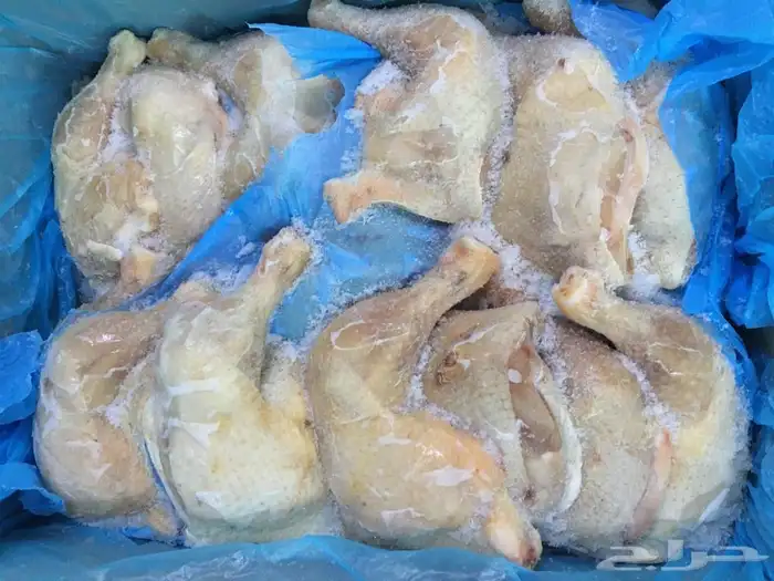 توريد مواد غذائية للمطاعم والاعاشات 8