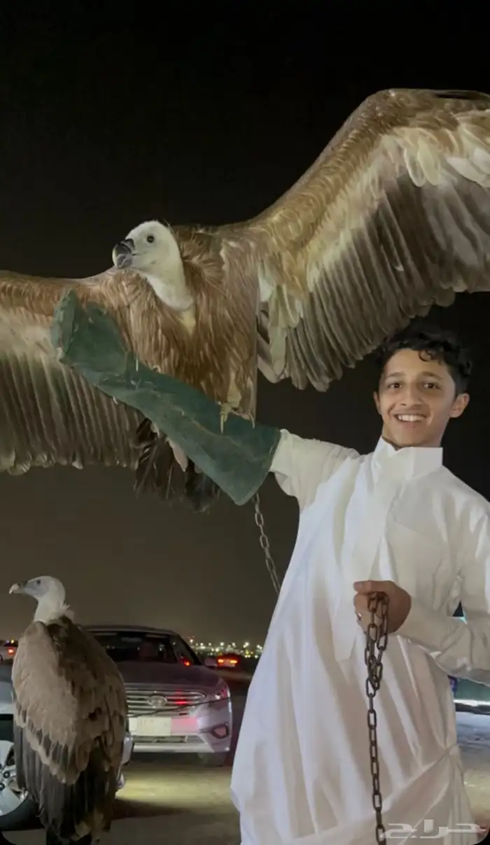 حديقة حيوانات متنقلة 10