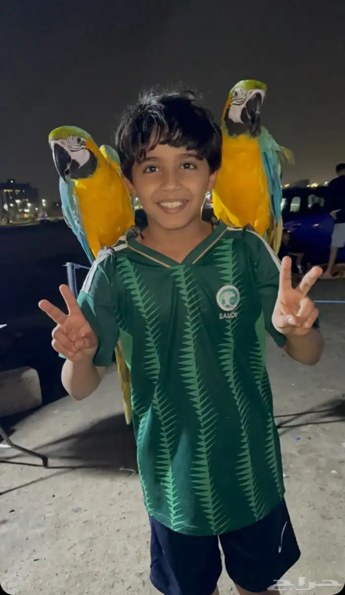 حديقة حيوانات متنقلة 11