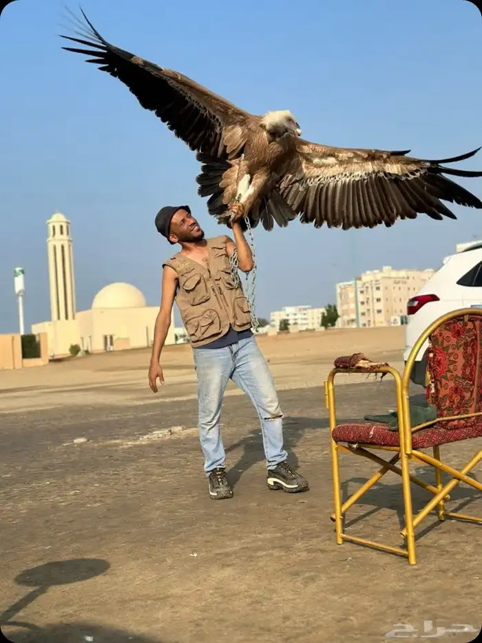 حديقة حيوانات متنقلة 12