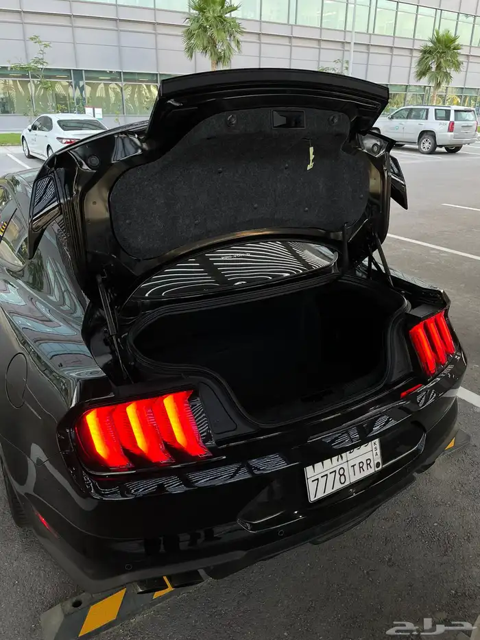 Ford Mustang GT 2019 Performance PKG تم البيع 14