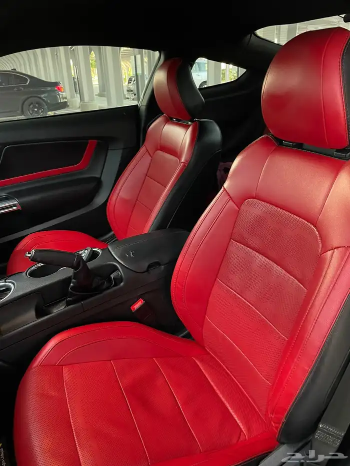 Ford Mustang GT 2019 Performance PKG تم البيع 13