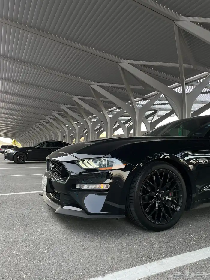 Ford Mustang GT 2019 Performance PKG تم البيع 6
