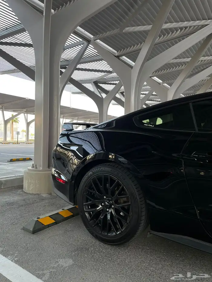 Ford Mustang GT 2019 Performance PKG تم البيع 4