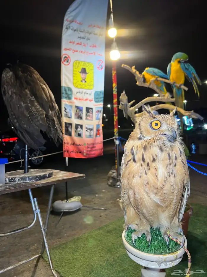 حديقة حيوانات متنقلة 9