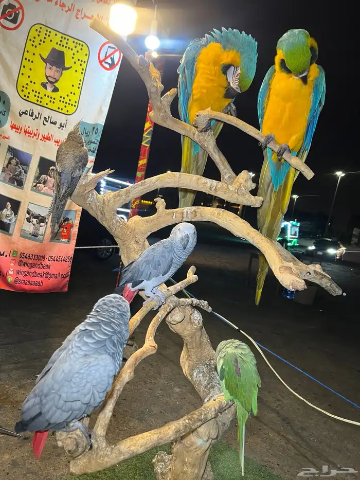 حديقة حيوانات متنقلة 3