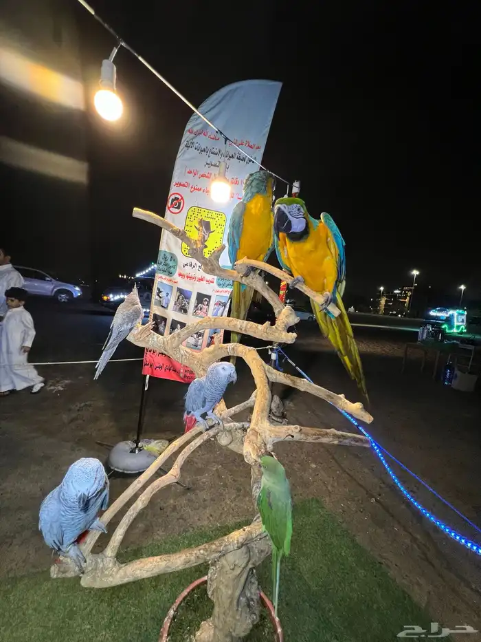 حديقة حيوانات متنقلة 0