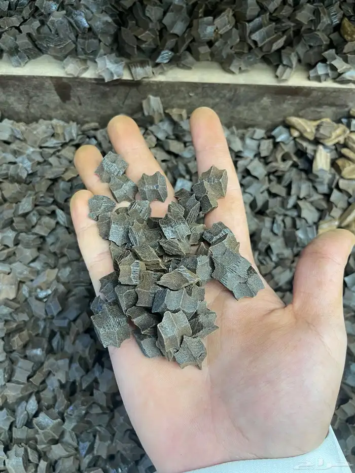 عود فراشات مروكي 3