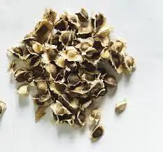بذور المورينقا 1