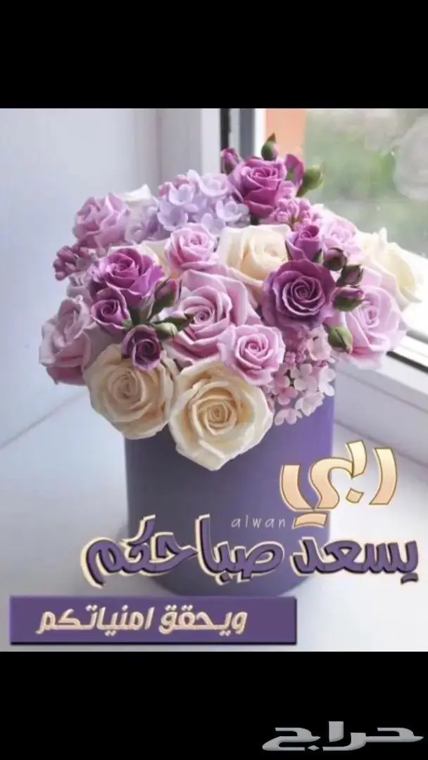 مستعمل فضة بالكامل سبحة فاخرةعيار 925 حجم صغير وزن 14.6 31