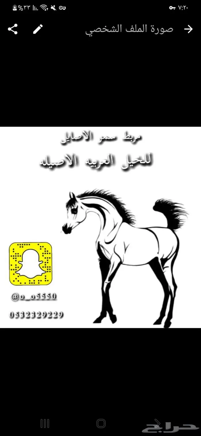 مربط سمو الاصايل 0
