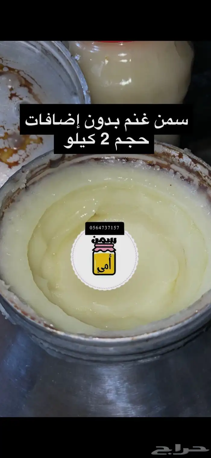 سمن غنم وسمن بقر ومضير 5