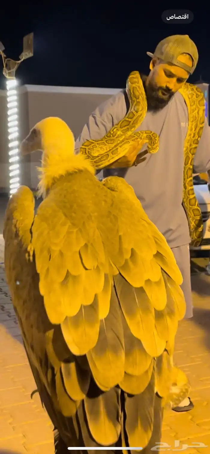 حديقة حيوانات متنقلة 15