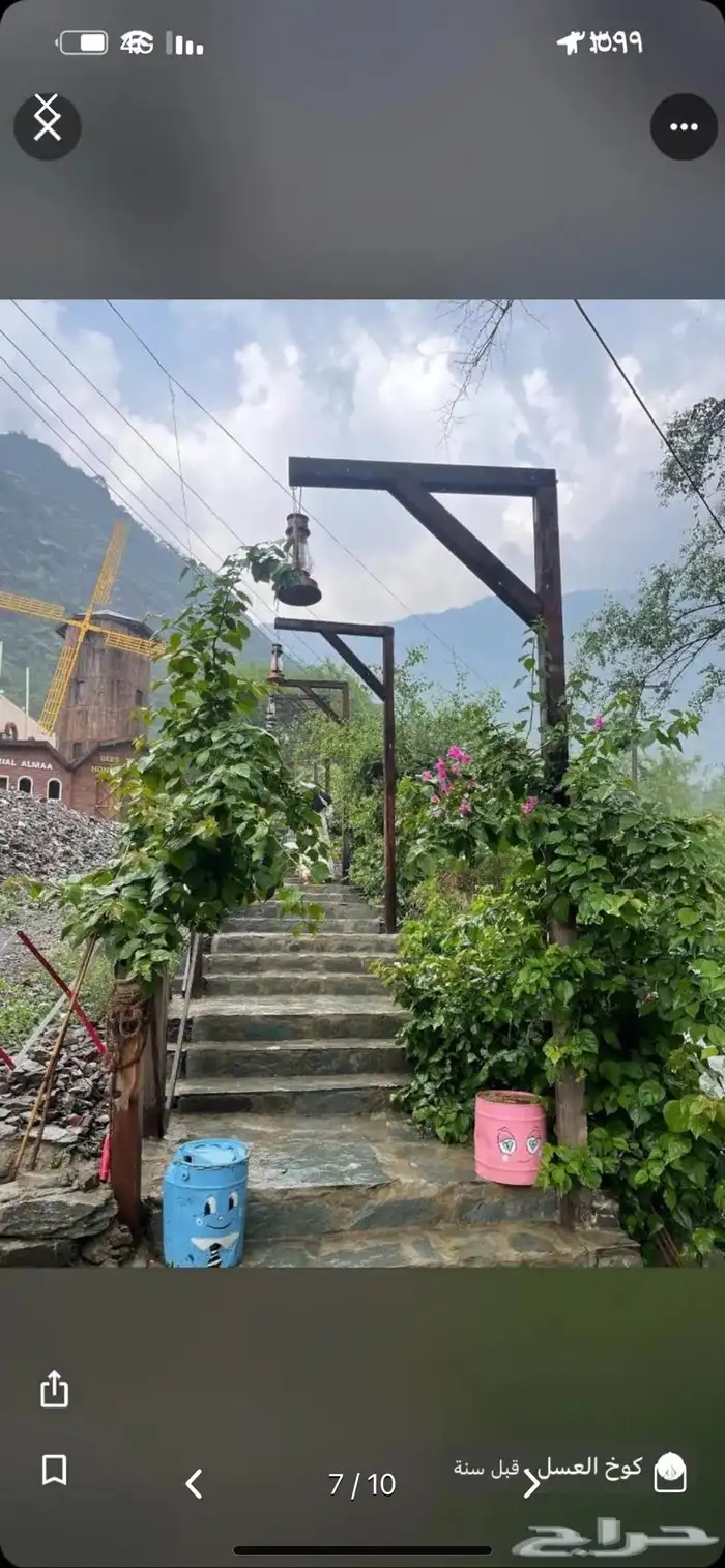 مرشد سياحي 0