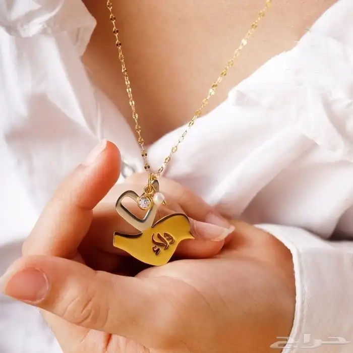 اكسسورات مطليه بالذهب والفضه 17