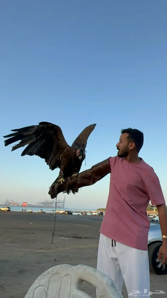 حديقة حيوانات متنقلة 21