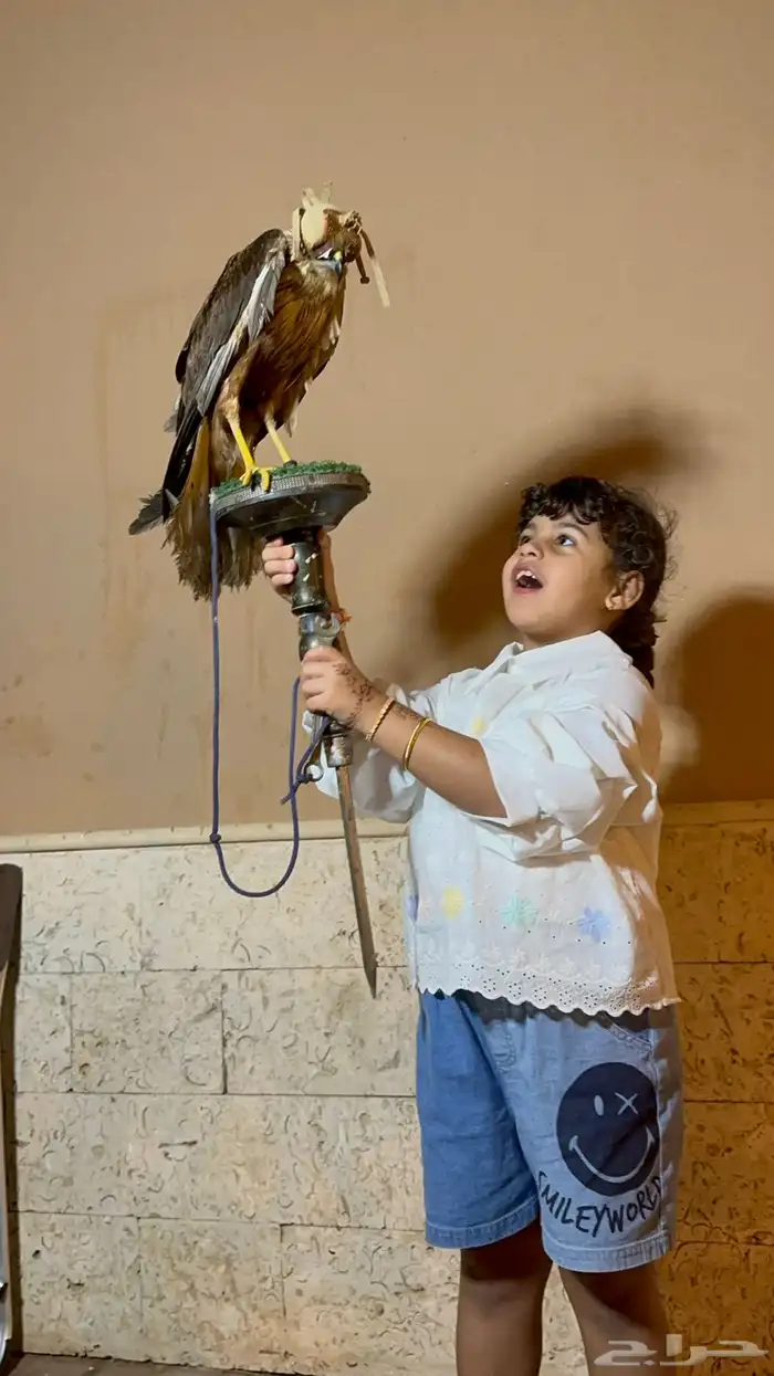 حديقة حيوانات متنقلة 23