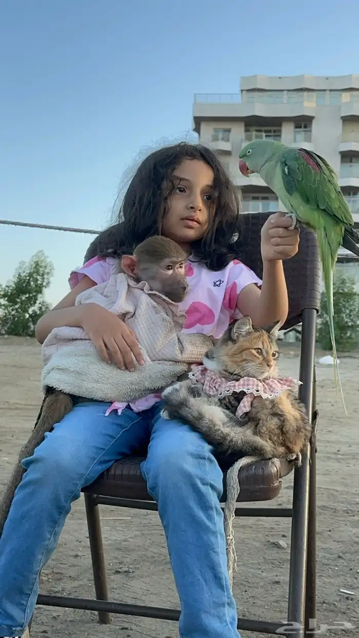 حديقة حيوانات متنقلة 20