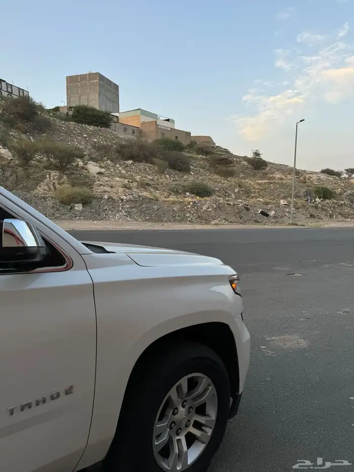 ((مباع)) 8