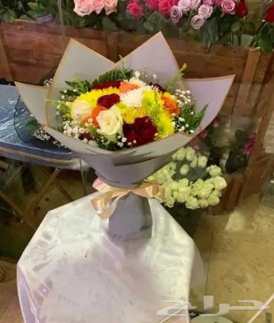 حفلات استقبال حجاج 0