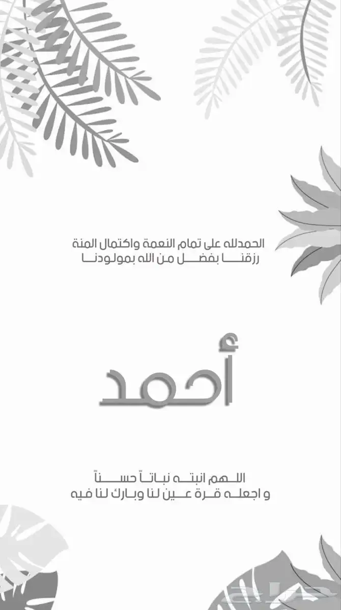 دعوة زواج   بشارة مولود   عقد قران 1