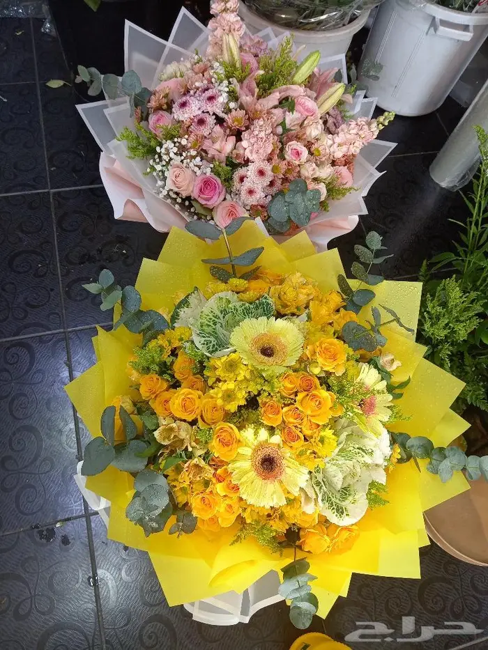 حفلات استقبال حجاج 6