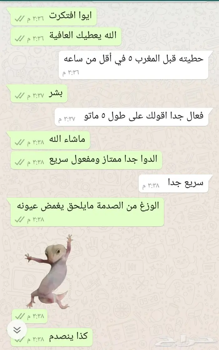 معجون القضاء على الوزغ 3