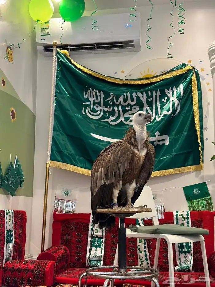 حديقة حيوانات متنقلة 19