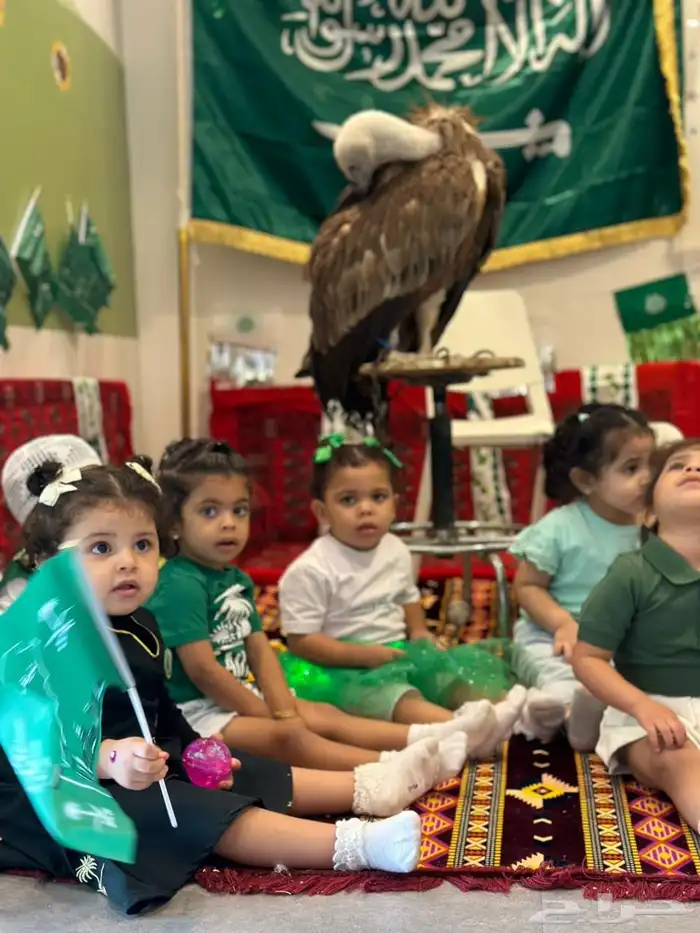 حديقة حيوانات متنقلة 18