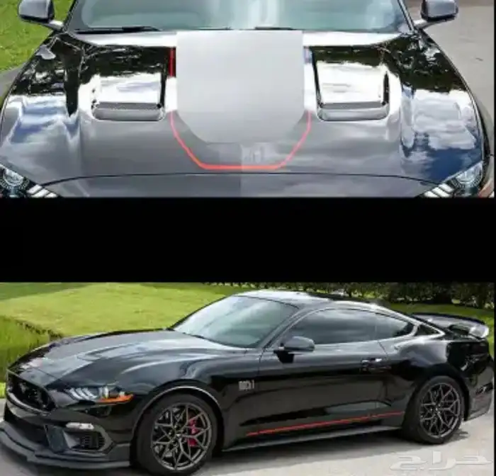 ملصقات و شعارات موستنج ماك 1 2