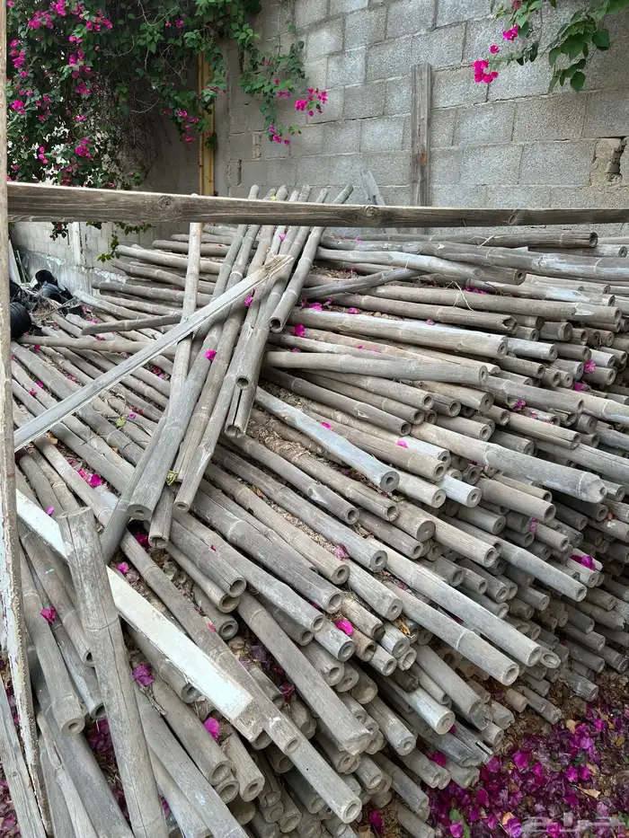 خشب بامبو bamboo 2