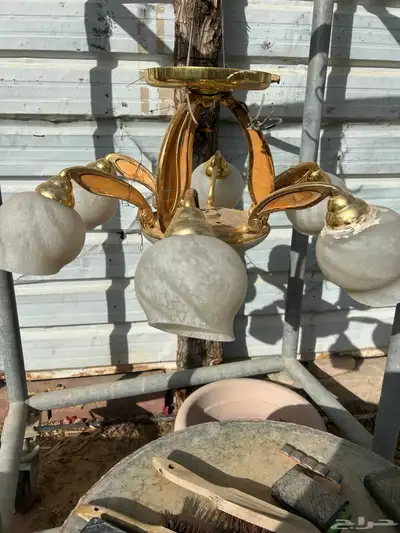 ثريا بدون ثمن 0