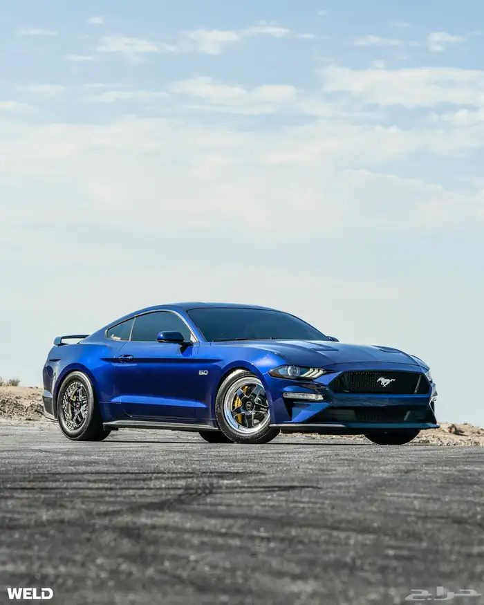 نوفر لكم جميع جنوط ويلد - بيدلوك - جميع الجنوط الرياضيه 91